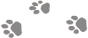 _0